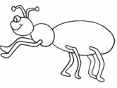 imágenes de hormigas y hormigueros