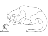 imágenes de hormigas y hormigueros