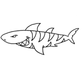 imágenes de tiburones