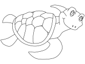 imágenes de tortugas