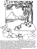 Dibujos de la creación