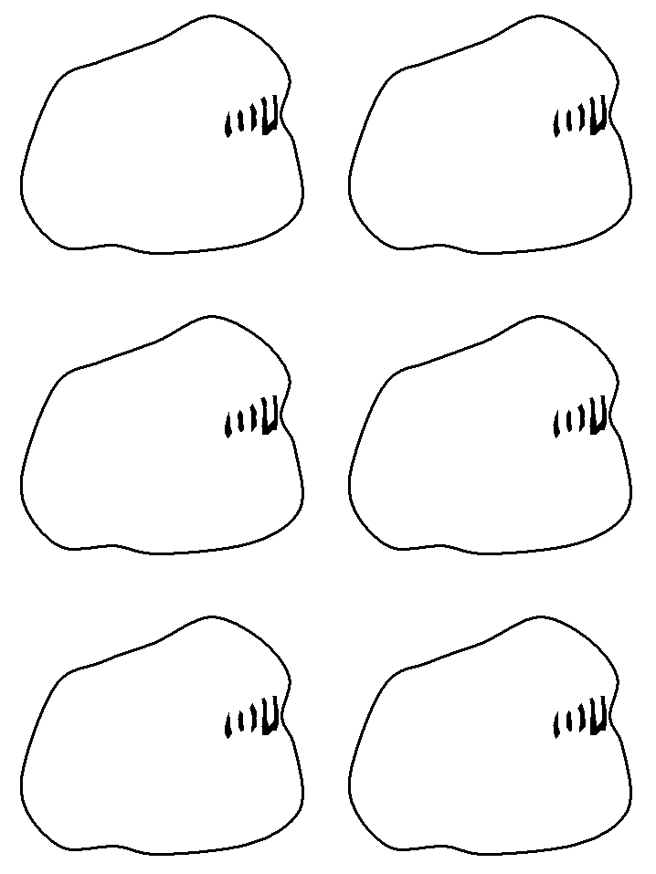 template