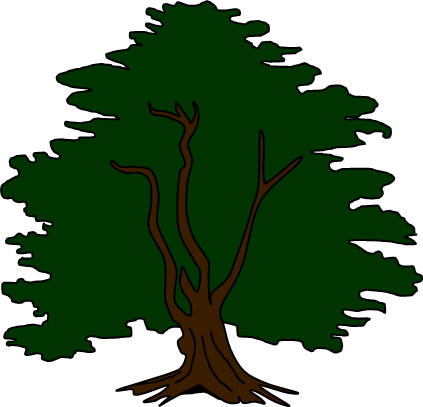 un arbol de sicomoro