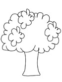 el brócoli