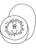 El kiwi