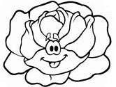 la lechuga