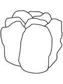 la lechuga