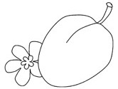 la ciruela