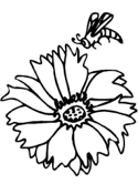 imágenes de abejas
