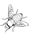 imágenes de abejas