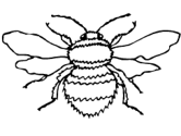 imágenes de abejas