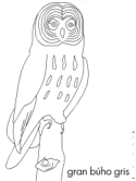 imágenes de aves/buho