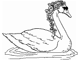 imagen de un cisne