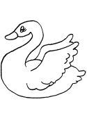 imágenes de cisne