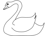 imágenes de cisne