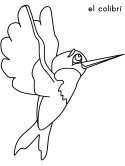 imágenes de colibrí
