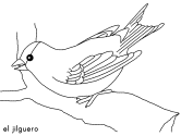 imágenes de jilgueros