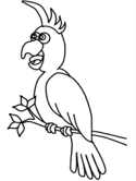 imágenes de Loros