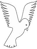 imágenes de palomas