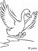 imágenes de patos