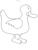 imágenes de patos