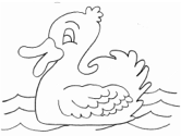 imágenes de aves/pato