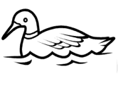 imágenes de patos