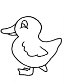 imágenes de patos