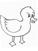 imágenes de patos
