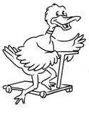 imágenes de patos