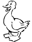 imágenes de patos