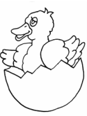 imágenes de patos