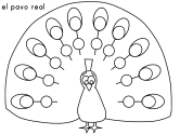 imágenes de pavo real