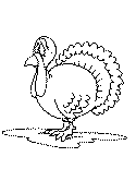 imágenes de pavos