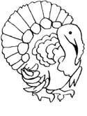 imágenes de pavo