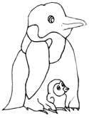 imágenes de pingüinos