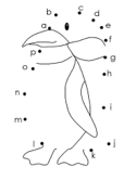 imágenes de pingüinos