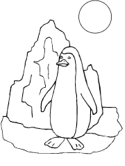 imágenes de pingüinos