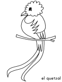 imagen de un quetzal