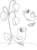 imágenes de aves