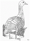 imagen de un nene