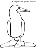 imágenes de aves