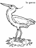 imagen de una garza