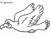 imagen de una gaviota