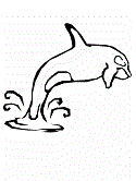 imágenes de ballenas