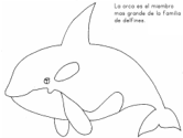imágenes de ballenas