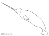 imágenes de ballenas