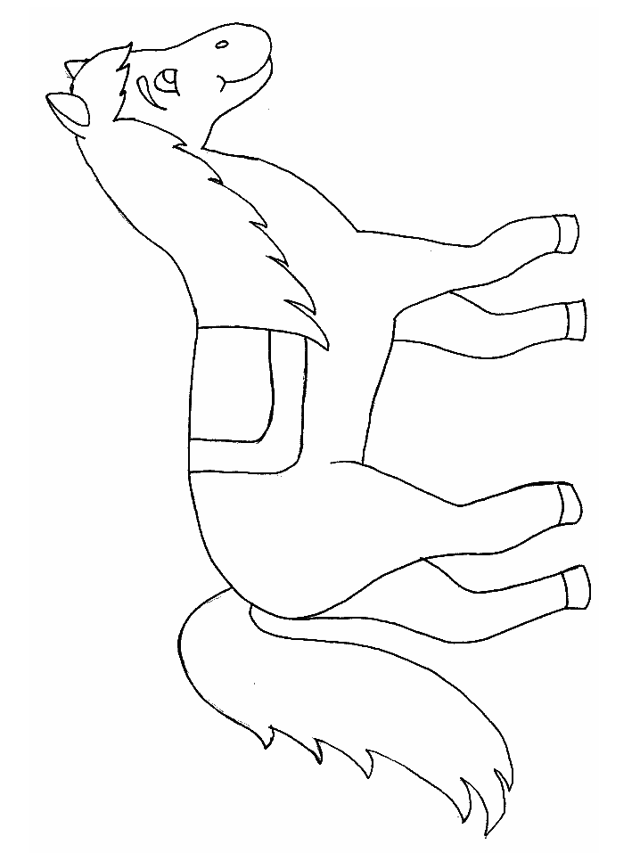 template