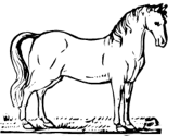 imágenes de caballos