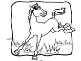 imágenes de caballos